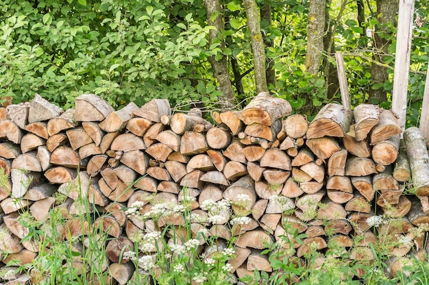 Stack of firewood in the forest