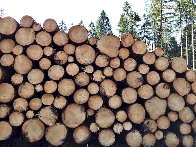 Photo stack of firewood