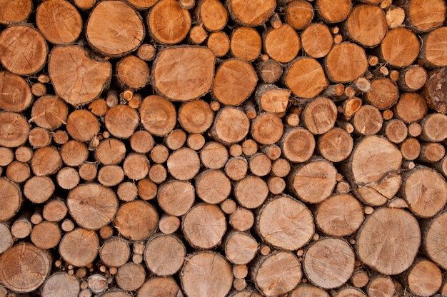 Stack of firewood