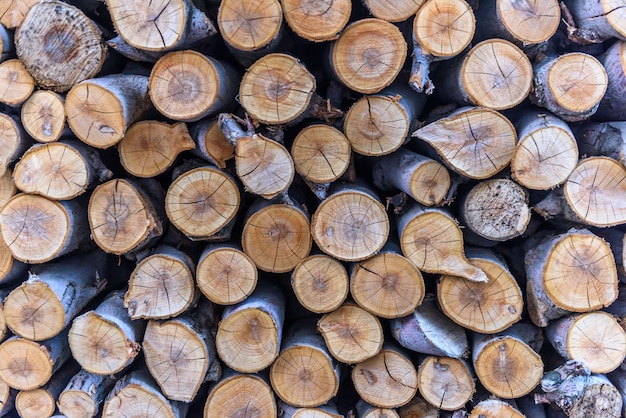 Stack of firewood