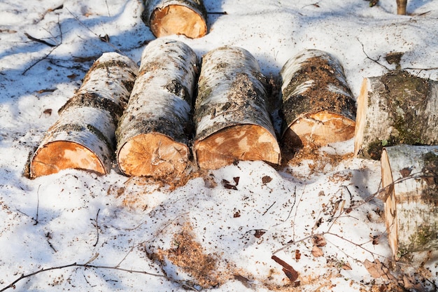 Stack of firewoods on snow