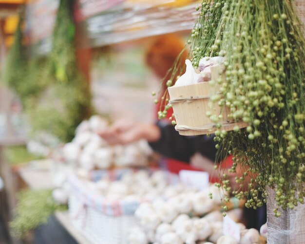 Stack of garlic at farmers market