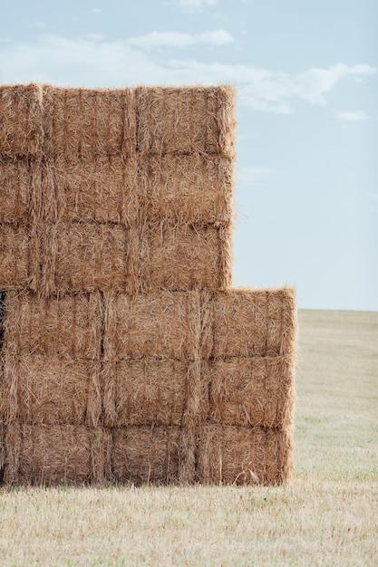 Photo stack of hay bales on field