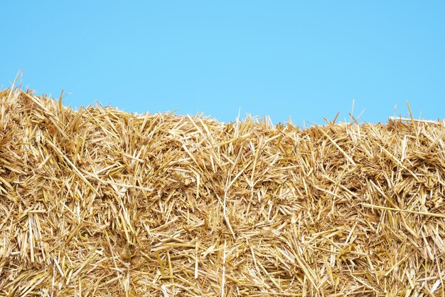 a stack of hay closeup in the field