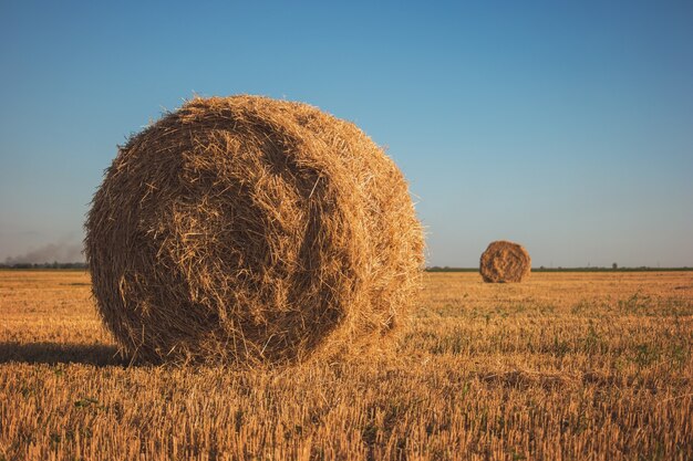 Stack of hay on field.