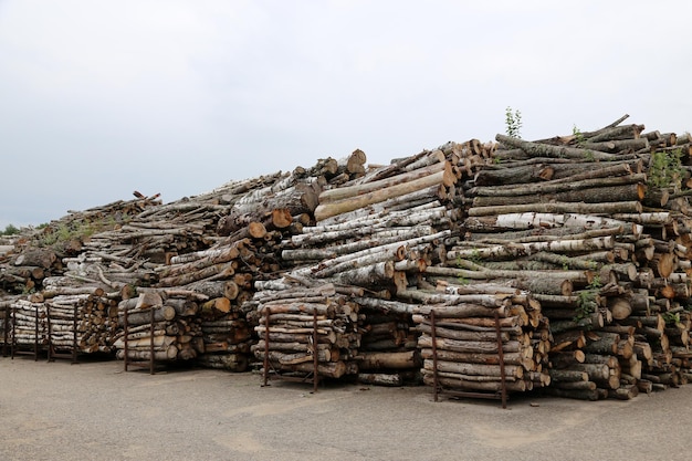 Stack of logs against clear sky