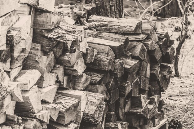 Photo stack of logs on field