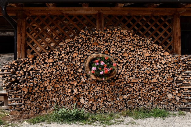 Foto una pila di tronchi nella foresta