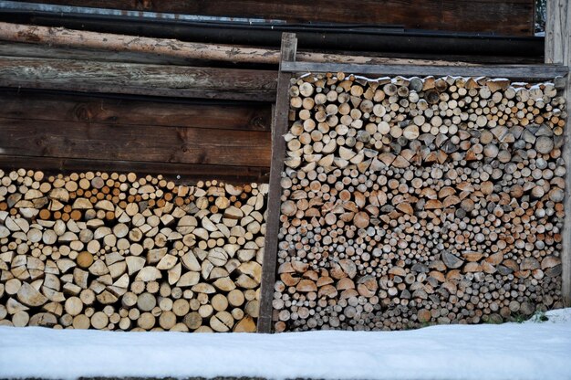 Photo stack of logs in forest