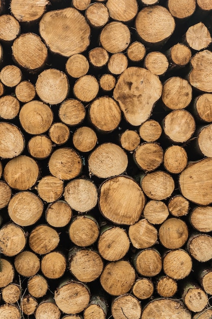 Stack of logs outdoors