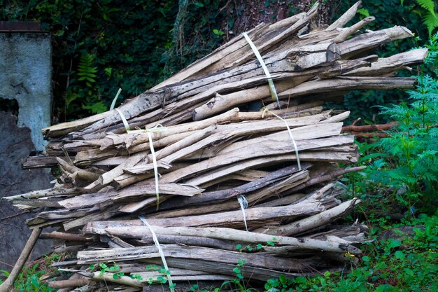 Stack of logs