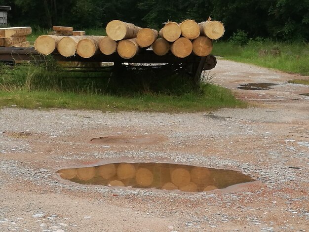 Photo stack of logs