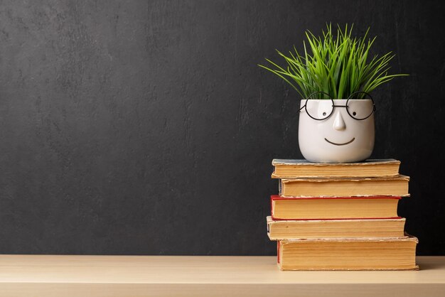 Photo stack of old books and potted plant