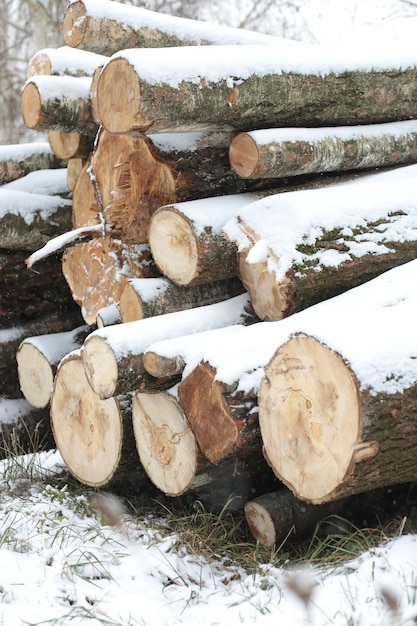 Stack or pile composed of blocks pieces or logs of wood in winter or spring with snow