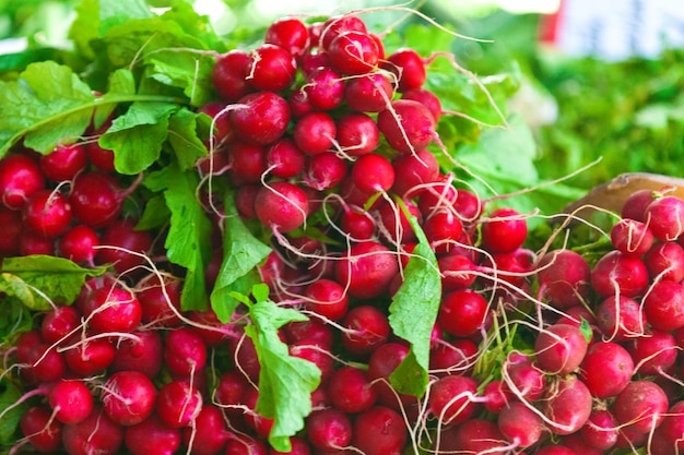 Stack of radishes on a market stall