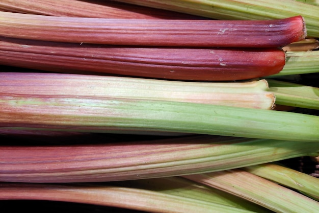 Stack of rhubarbs on a market stall