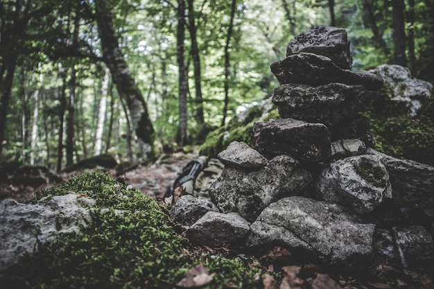 Photo stack of rocks in forest