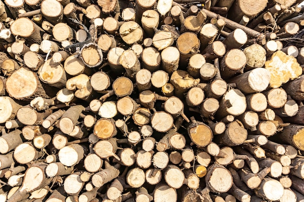 Stack of sawn logs. Natural wooden decor background.