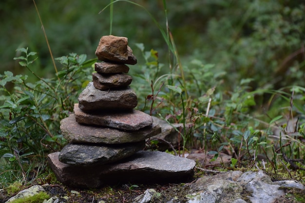 Stack of stones by plants on field