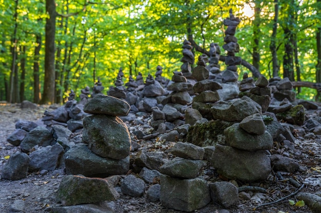 Foto una pila di pietre nella foresta