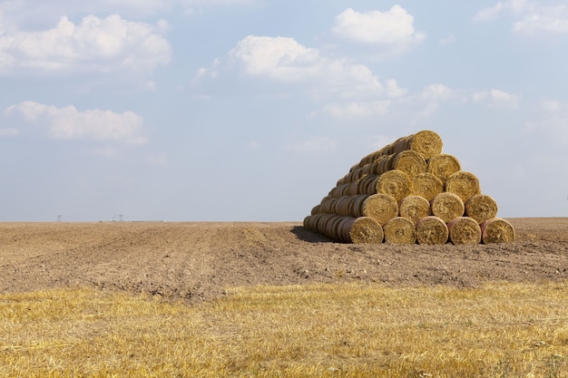 Stack of straw