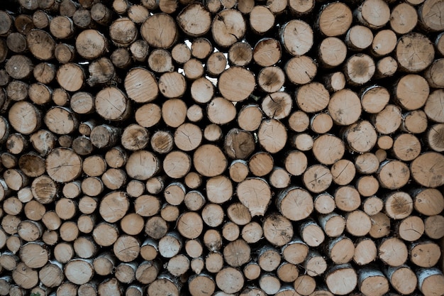 Stack of tree trunks. Texture background wallpaper