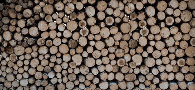 Stack of tree trunks. Texture background wallpaper