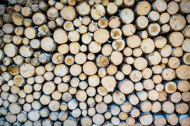 Stack of tree trunks. Texture background wallpaper