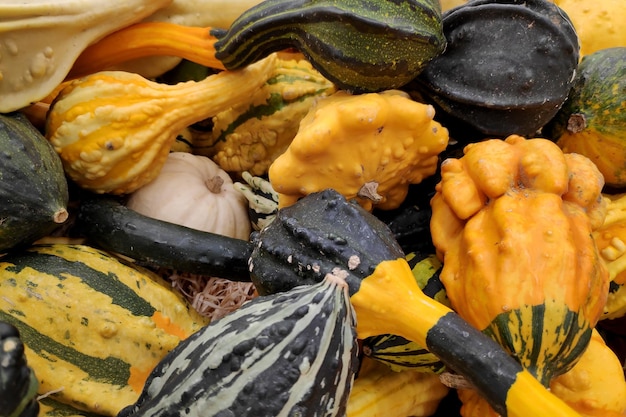 Stack of various Cucurbits on a market stall