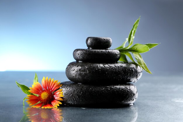 Stack of wet spa stones with green leaves and flower on light blue background