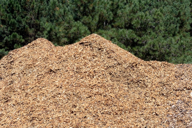 Foto pila di trucioli di legno