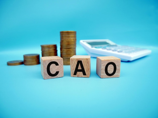 「ca」と「o」の文字が書かれた木製の立方体の積み重ね。