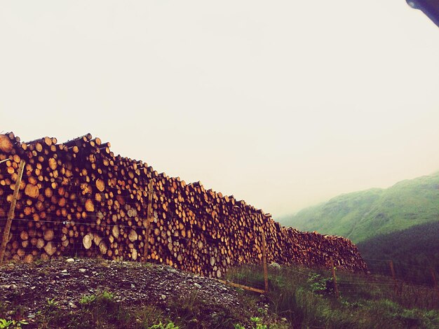 Stack of wooden logs on field against sky