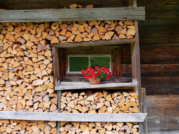 Stack of wooden logs