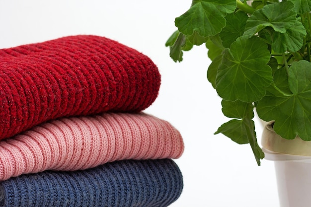 Stack of woolen clothes close to geranium