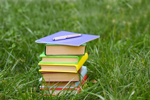 Stacked books in grass outside