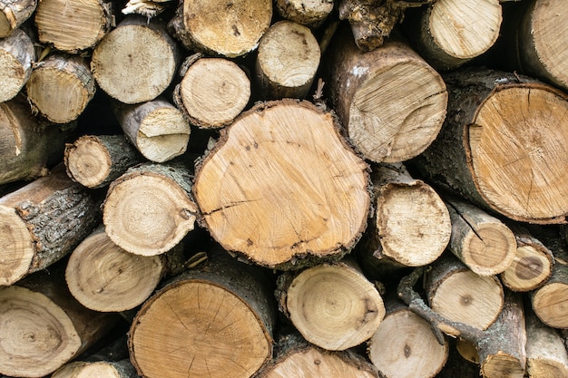 Stacked Firewood. Old weathered wood texture with the cross section of a cut log backgroun