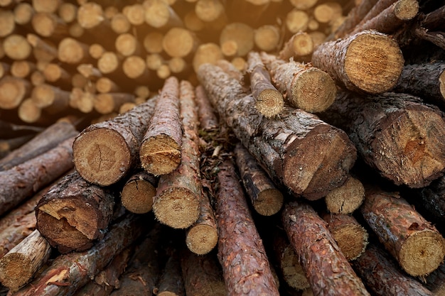 Stacked logs in the fog.