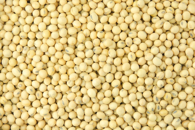 Stacked soy beans close up
