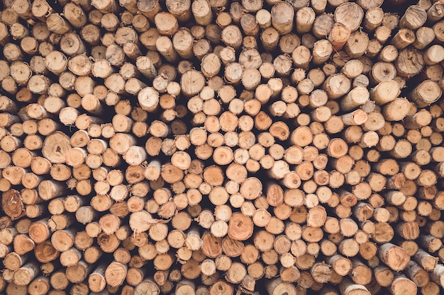 Photo stacked of wood log  for construction buildings background and texture