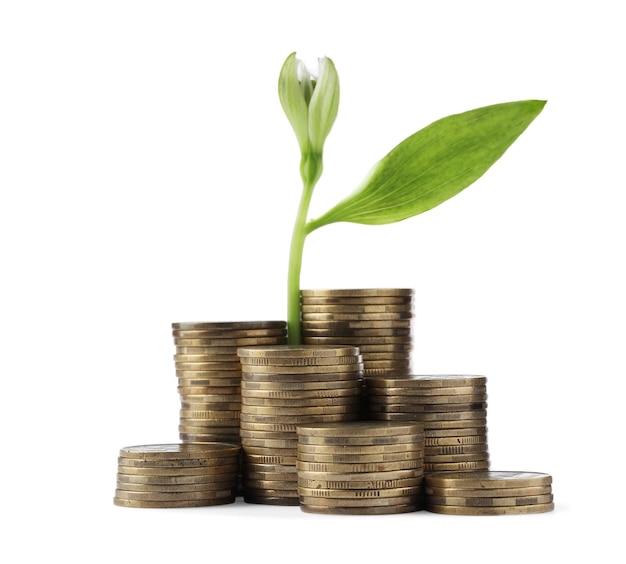 Stacks of coins and green plant on white background Prosperous business