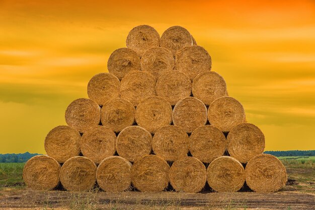 Stacks of hay background