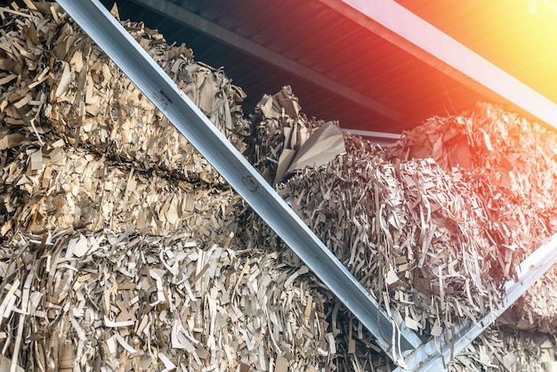 Stacks of prepared waste paper in a hangar for further processing