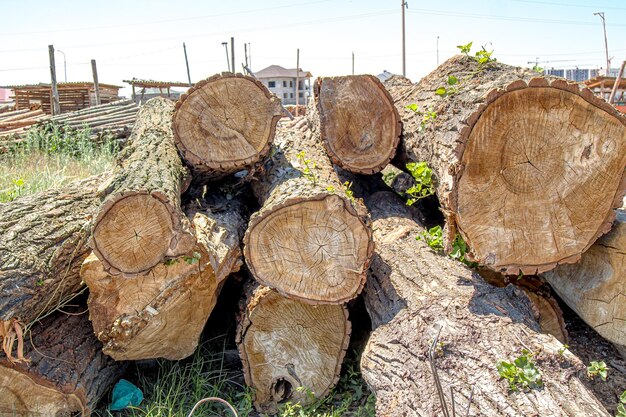 Stacks of wooden logs as background