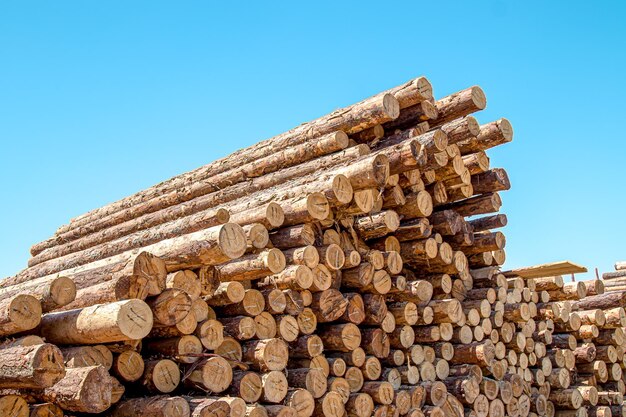 Stacks of wooden logs as background