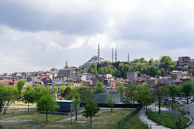 Stad Istanbul, uitzicht vanaf de Gouden Hoorn naar stad en moskee