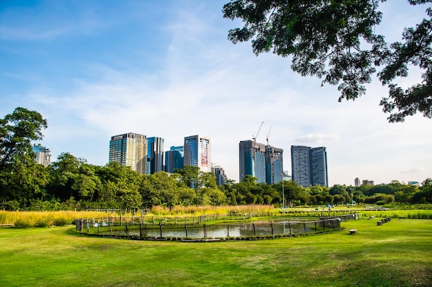 stadsgebouw en het park