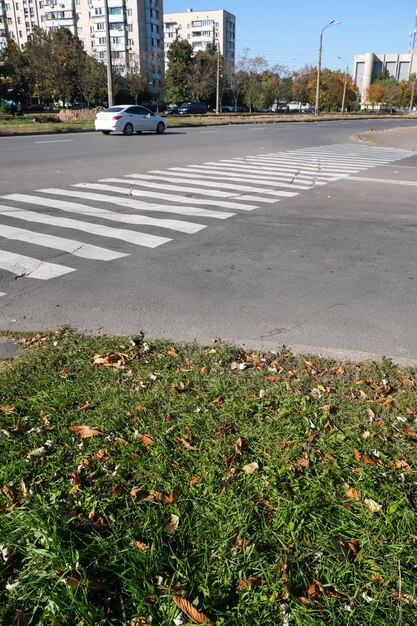 Stadsgezicht met vergeelde bomen op een warme zonnige herfstdag