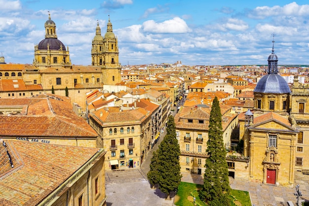 Stadsgezicht van de middeleeuwse stad Salamanca met zijn oude stenen gebouwen