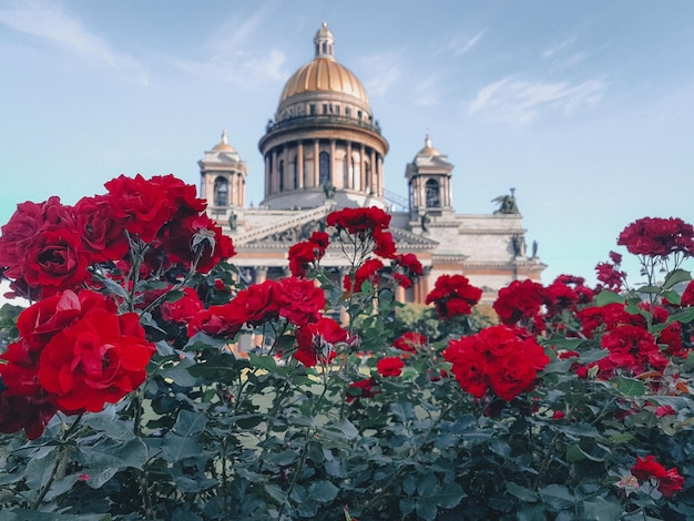 Stadsgezichten van Sint-Petersburg Reizen Sfeervolle dagelijkse foto's